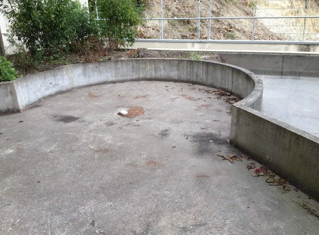 before-image