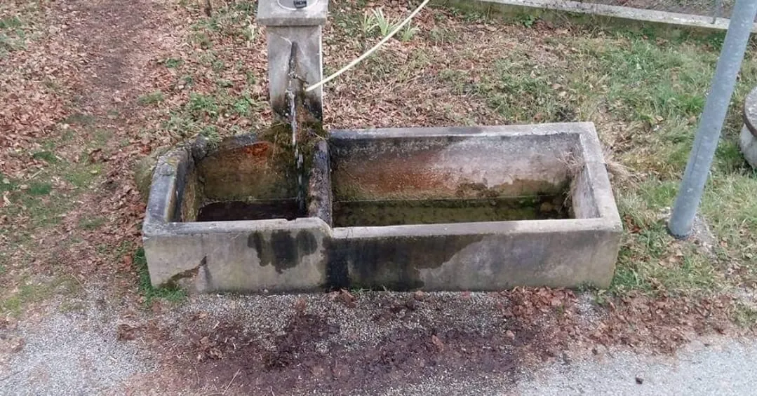 before-image
