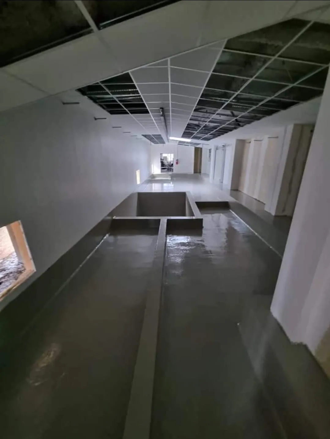 after-image